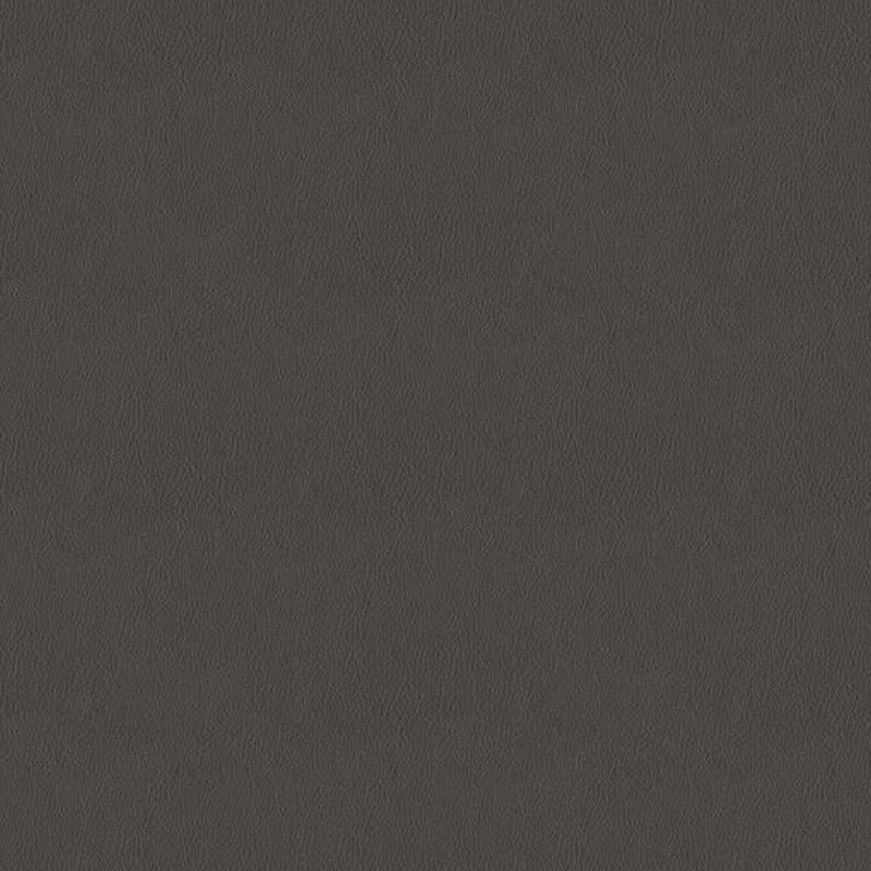 CORIUM